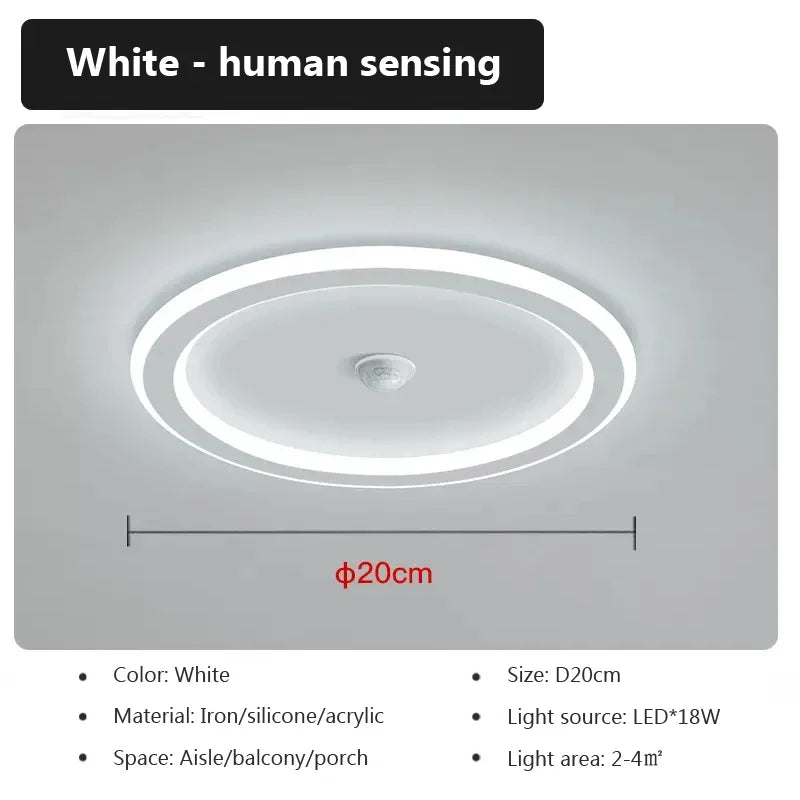 Modern LED Ceiling Light – SLCL010