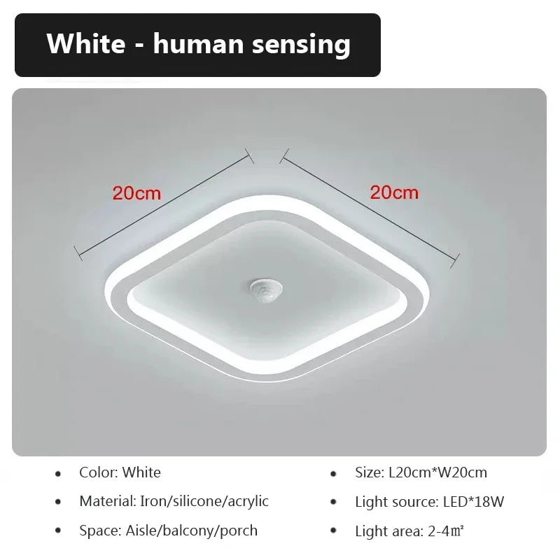 Modern LED Ceiling Light – SLCL010